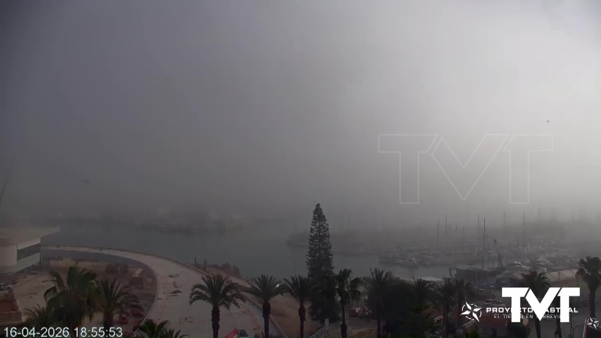 Imagen de Una densa niebla inunda la ciudad