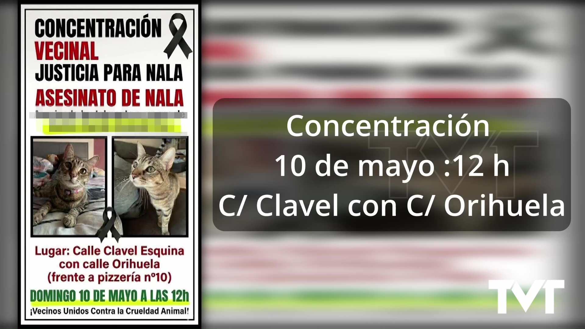 Imagen de Convocada concentración pacífica para pedir justicia por Nala: 10 de mayo