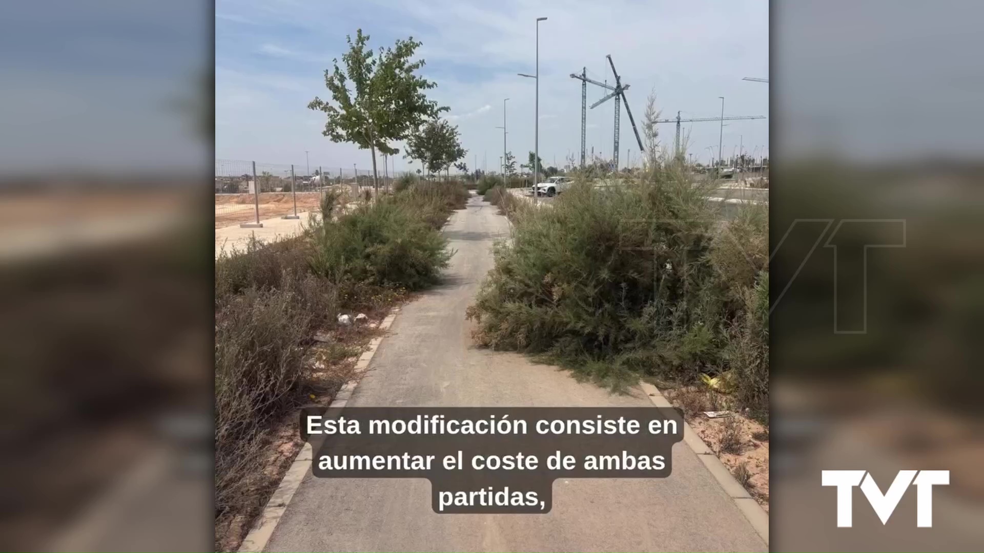 Imagen de El PSOE denuncia acumulación de basura en el Sector 20 La Hoya