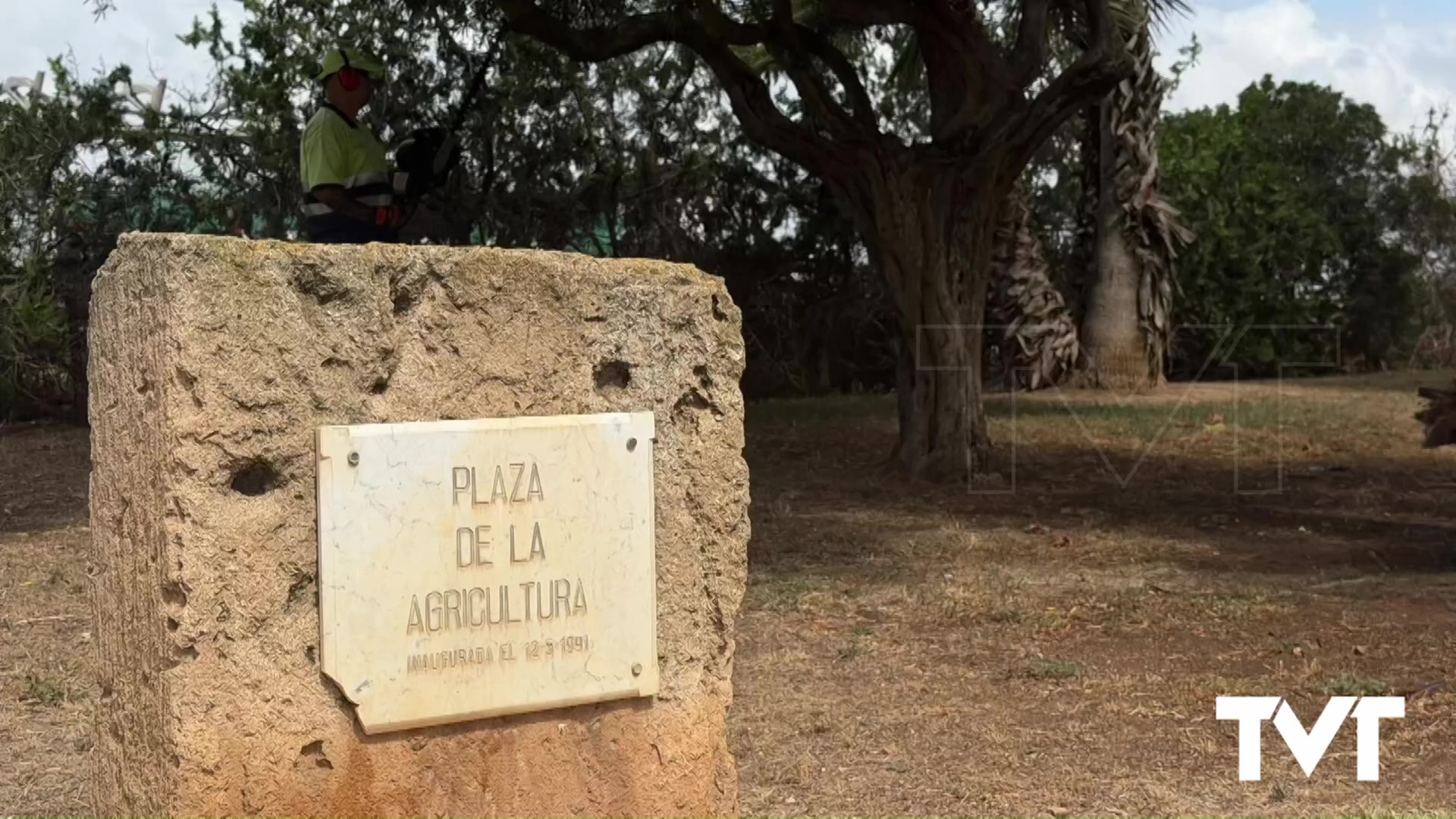 Imagen de La Plaza de la Agricultura de La Mata mejora su red de riego