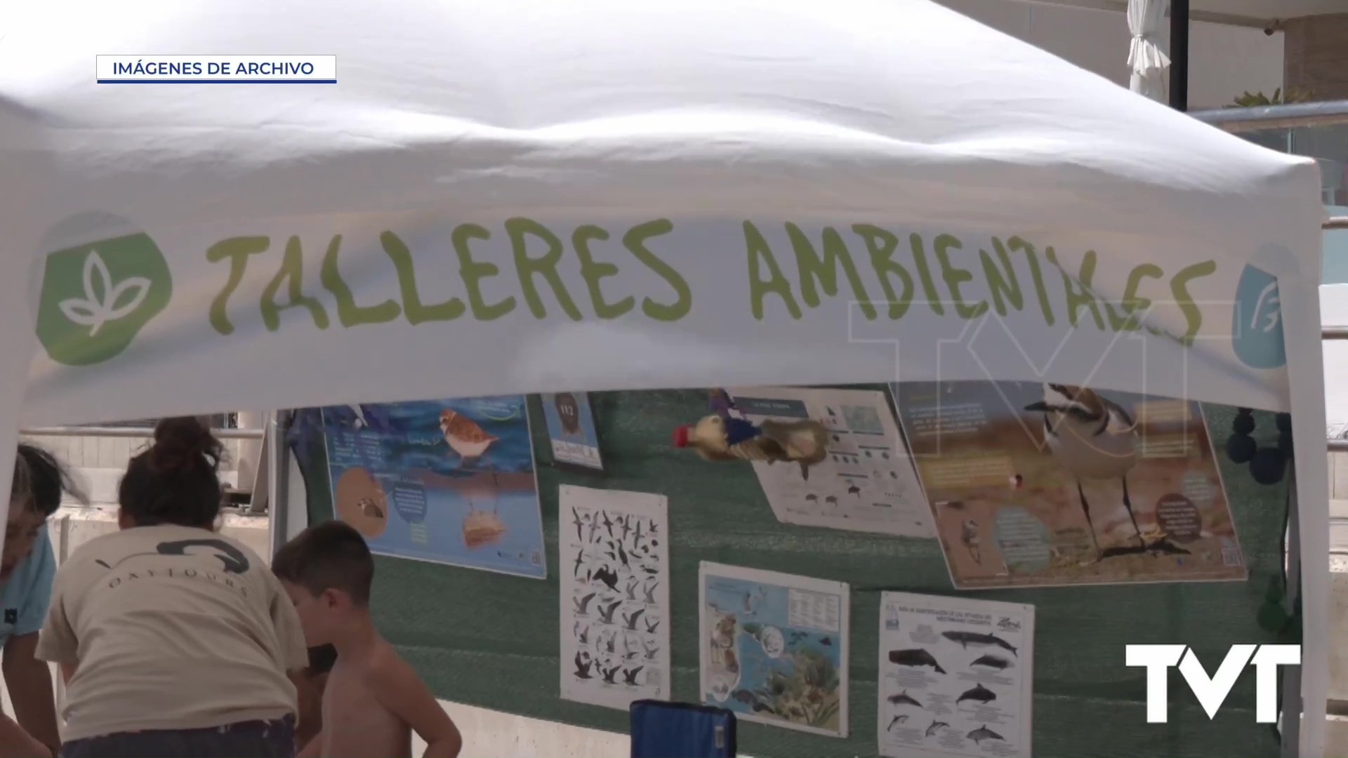 Imagen de Regresan los talleres ambientales a las playas de Torrevieja y La Mata